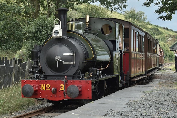 A steam train running past Brynglas station.