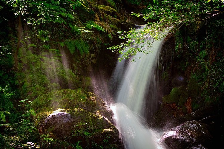 Sun beams shining down through the trees in front of a waterfall.