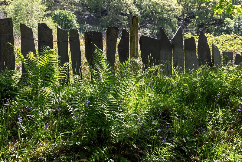 A slate fence in the Welsh countryside.