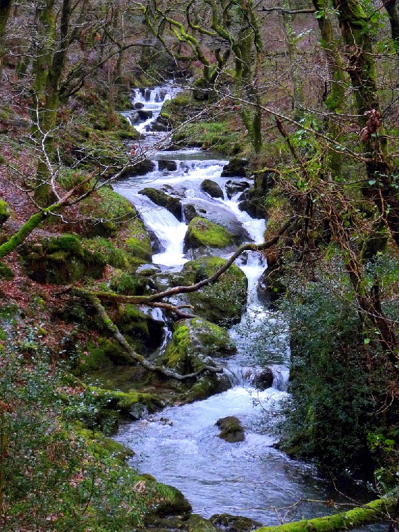 A twisting slow series of waterfalls over rocks and boulders, surrounded by green moss covered trees