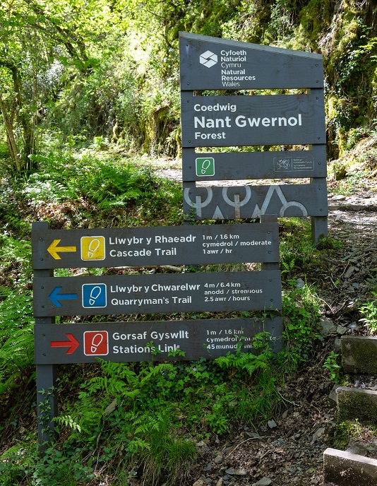 A sign showing the entry to the Nant Gwernol forest and the waymarking directions for the different Nant Gwernol trails.