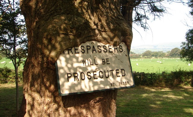 A sign saying that trespassers will be prosecuted being slowly consumed by a tree.