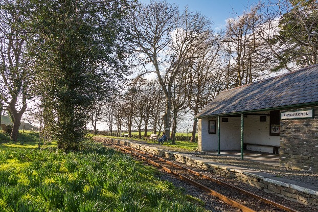 The empty track in front of the waiting room at Rhydyronen, fresh daffodils are starting to bud on the left hand side.