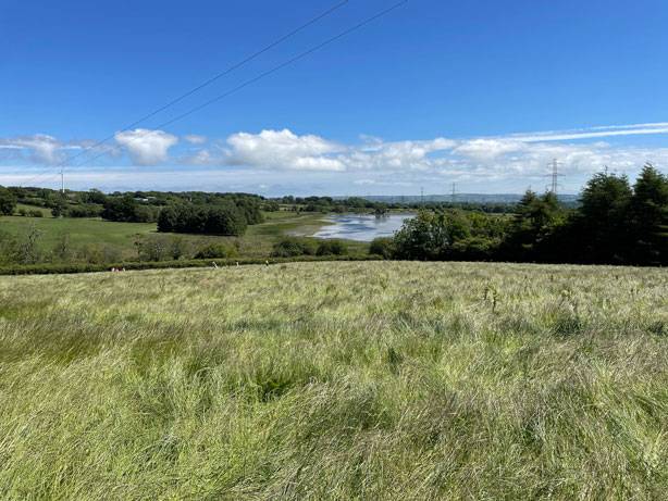 Grassland with a lake in the background.