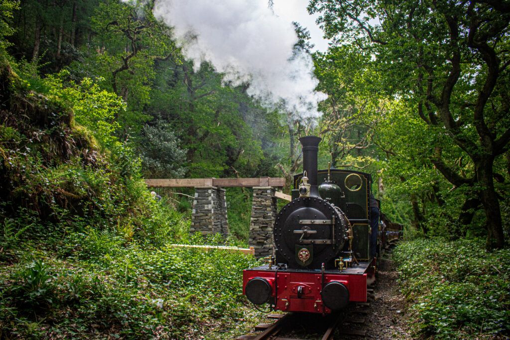 A small green steam engine at a rural watering spot.